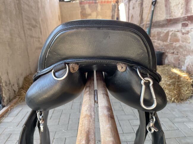 Busse „Chester“, Busse Chester, Christina E, Icelandic Saddle, Rauschenberg, Image 7