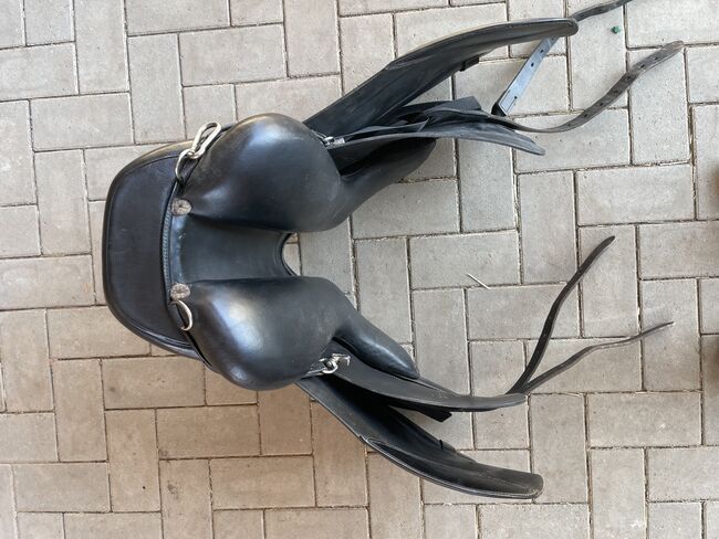 Busse „Chester“, Busse Chester, Christina E, Icelandic Saddle, Rauschenberg, Image 4