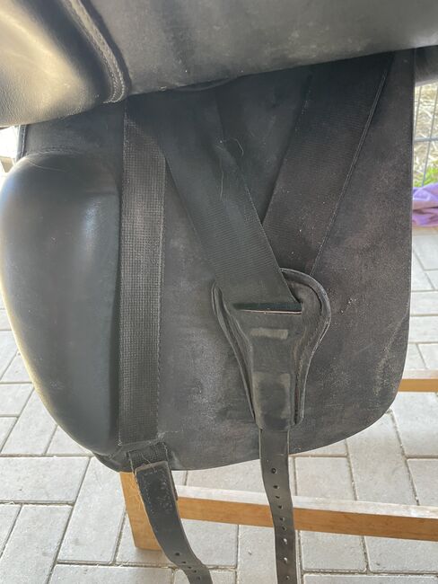 Busse „Chester“, Busse Chester, Christina E, Icelandic Saddle, Rauschenberg, Image 6