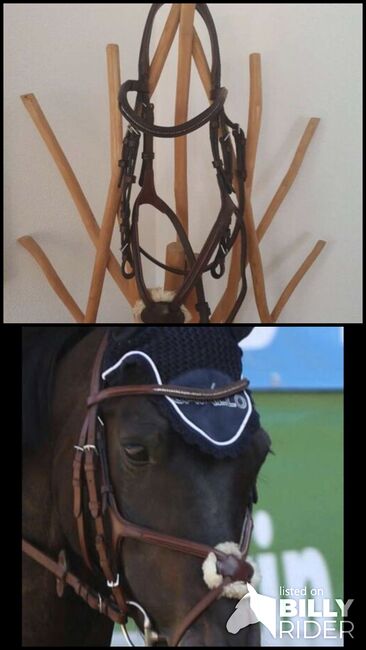 Cheval de Luxe Zaumzeug Miami, Cheval de Luxe Miami, Anna-Lena, Nosebands, Pinsdorf, Image 3