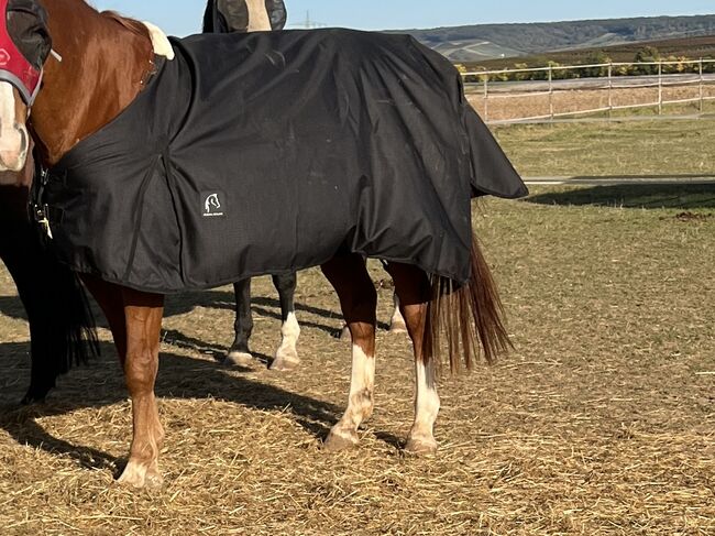 Cheval de Luxe Outdoordecke Nantes Basic 50 g, Cheval de luxe Nantes, Nadine, Pferdedecken, Bingen