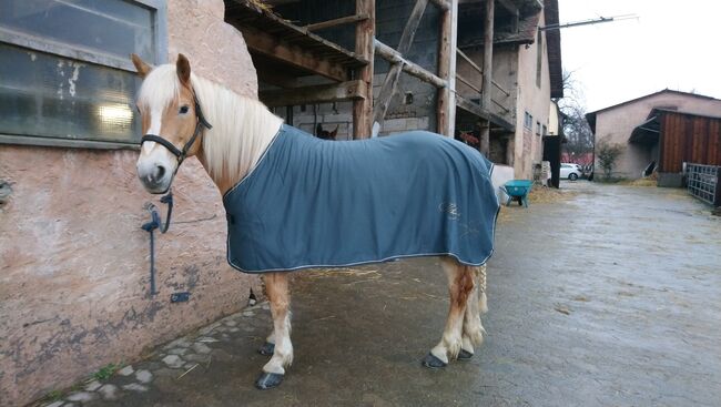 Abschwitzdecke von Cheval de Luxe, 145cm, Cheval de Luxe, Jenny , Horse Blankets, Sheets & Coolers, Modautal