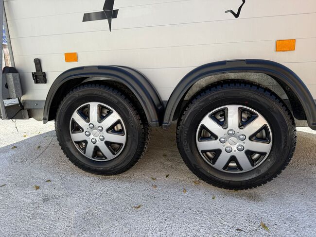 Cheval Liberte Tür- Rampenkombination, Cheval Liberte GT2, Sport- und Freizeitpferde Fuchs (Sport- und Freizeitpferde Fuchs), Horse Trailers, Ehingen, Image 10