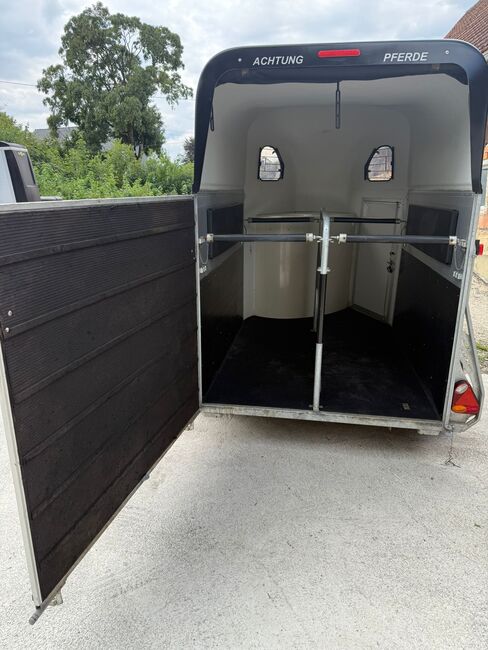 Cheval Liberte Gold 2 Tür- Rampenkombination Pferdeanhänger, Cheval Liberte Gold 2, Sport- und Freizeitpferde Fuchs (Sport- und Freizeitpferde Fuchs), Pferdeanhänger, Ehingen, Abbildung 13