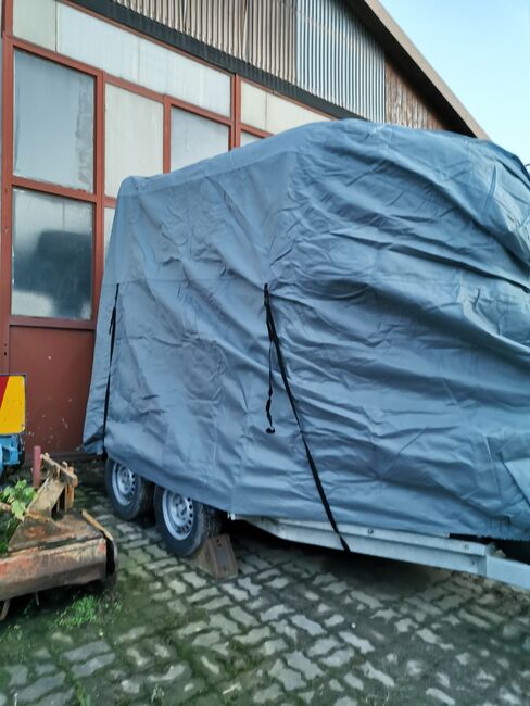 cheval liberte gold 3 mit Kamera, Cheval liberte  Gold 3 , Michelle Kemmer , Horse Trailers, Mainstockheim, Image 4