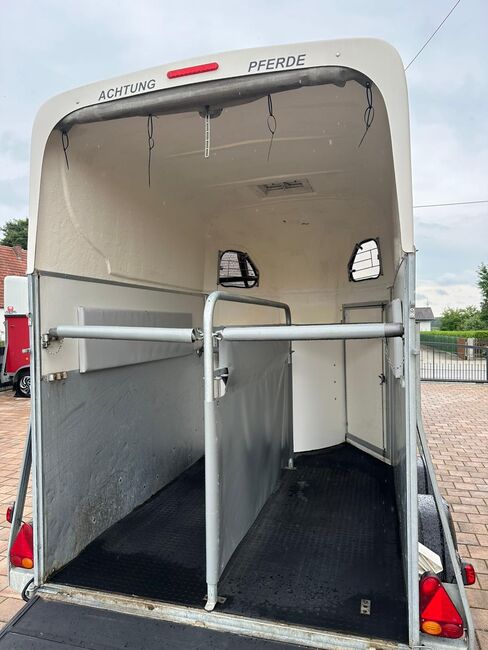 ❗️Cheval Liberte Holz Poly Saka Pferdeanhänger Pferdehänger, Cheval Liberte  Gold One , Fuchs Daniel, Ellgau - Pferdeanhänger seit 2016  (Nutzfahrzeughandel und Vermietung Daniel Fuchs ), Pferdeanhänger, Ellgau , Abbildung 11