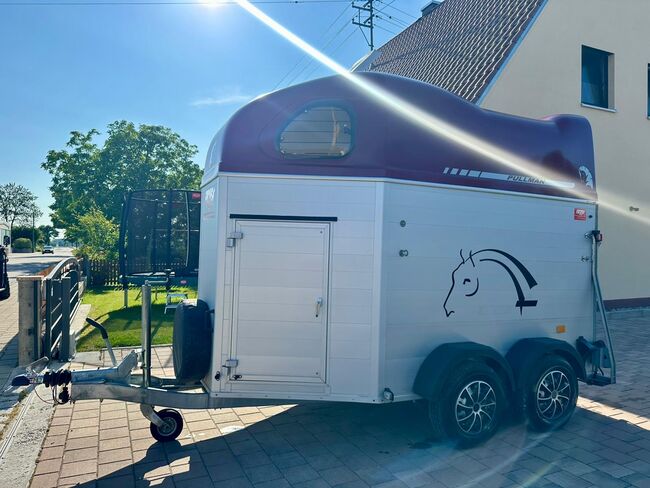 ❗️Cheval Liberte Gold Alu Aluboden Pferdeanhänger Pferdehänger, Cheval Liberte  Gold, Fuchs Daniel, Ellgau - Pferdeanhänger seit 2016  (Nutzfahrzeughandel und Vermietung Daniel Fuchs ), Przyczepa konna, Ellgau , Image 6