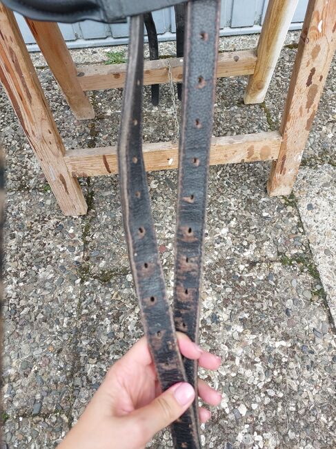 Chezz Sattel Iberico, Lederbaumsattel mit Zalea, Chezz Iberico, Celine, Sonstiger Sattel, Neustadt, Abbildung 6