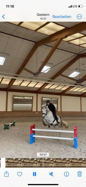⭐️ schicke brave Stute ⭐️, Marie Hanus, Horses For Sale, Passau, Image 10