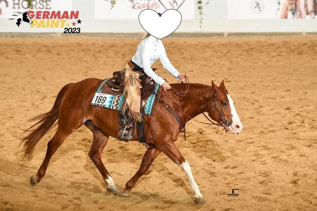 Kinderlieber, super bequemer Paint Horse Wallach abzugeben, Kerstin Rehbehn (Pferdemarketing Ost), Horses For Sale, Nienburg