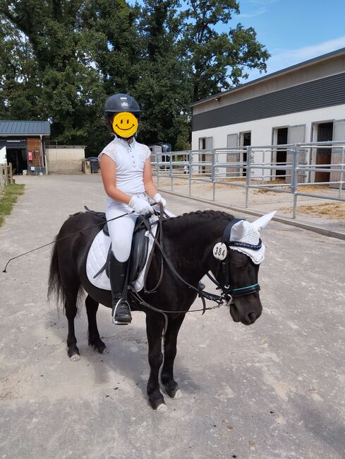Kinderpony, Pony, Kleinpferd, Turnier, gesucht, Privat, Horses For Sale, Sankt Katharinen, Image 7