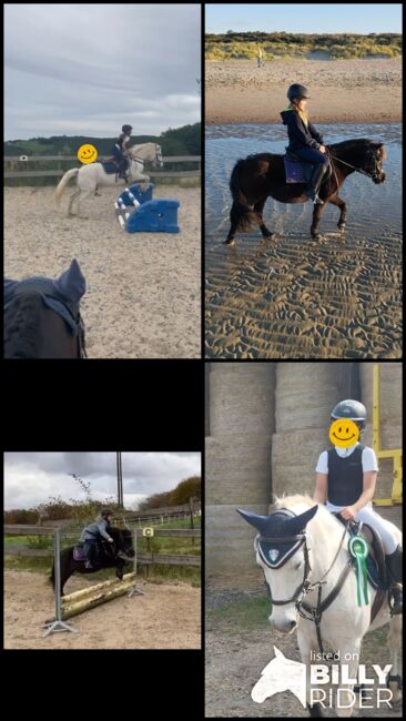 Kinderpony, Pony, Kleinpferd, Turnier, gesucht, Privat, Horses For Sale, Sankt Katharinen, Image 9