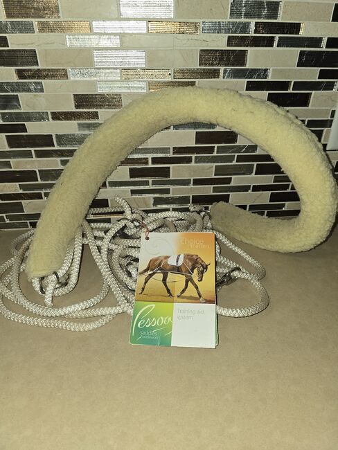 Choice Masters Brand Horse Lunging System, Choice Masters Pessao, Vanessa , Training Aids, Lithia, Image 2