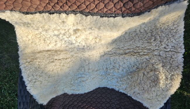 Christ Champ Lammfellschabracke Cob, WB Korrektur, Werner Christ , Lara, Dressage Pads, Falkensee, Image 2