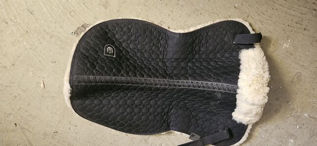 Christ Lammfell, Christ, Kerrin, Dressage Pads, Osnabrück