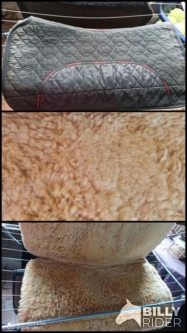 Christ Lammfell Westernpad, Christ Lammfell , Michelle, Western Pads, Krefeld , Image 4