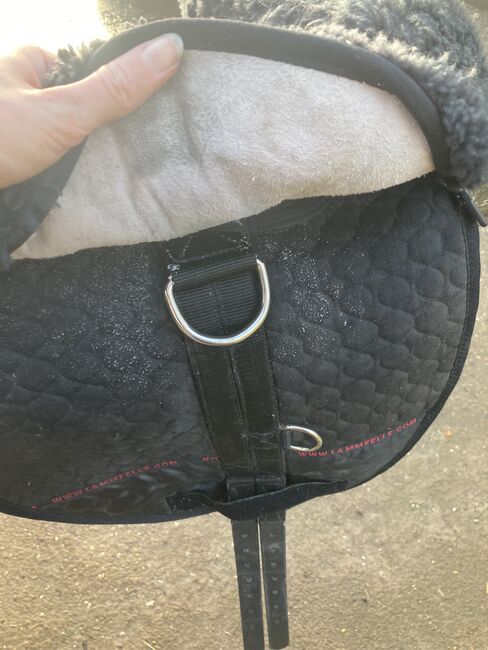 Christ Lammfellsattel, Christ Lammfellsattel, Nathalie Leßmöllmann , Lambskin Pad, Waldalgesheim , Image 3