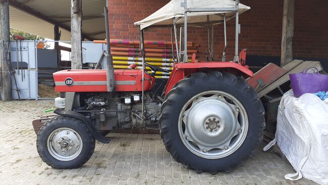 Trecker für den Reitplatz, MasseyFerguson  133, Sandra Langenberg-Schmedt , Padok, Rödinghausen