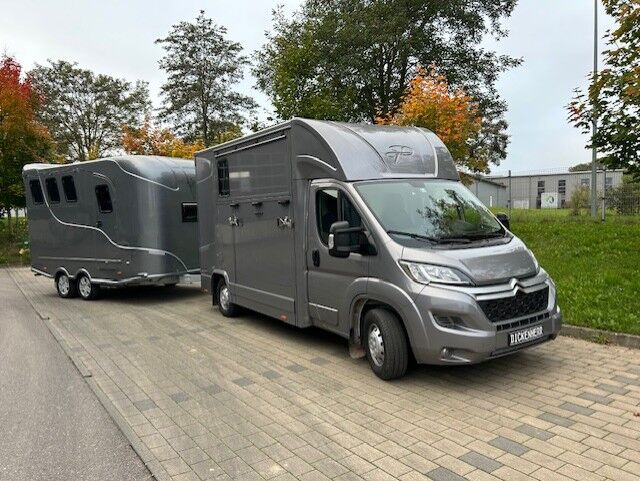 Citroën Pferdetransporter Gespann mit B/E Führerschein Viehtransporter Tiertransporter Selbstfahrer, Dickenherr Citroen Jumper Dickenherr, Gerhard Strobel (Dickenherr Trucks und Trailers), Przyczepa konna, Baden-Württemberg - Unterschneidheim