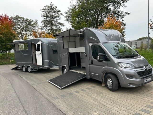Citroën Pferdetransporter Gespann mit B/E Führerschein Viehtransporter Tiertransporter Selbstfahrer, Dickenherr Citroen Jumper Dickenherr, Gerhard Strobel (Dickenherr Trucks und Trailers), Przyczepa konna, Baden-Württemberg - Unterschneidheim, Image 7