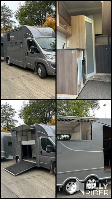 Citroën Pferdetransporter Gespann mit B/E Führerschein Viehtransporter Tiertransporter Selbstfahrer, Dickenherr Citroen Jumper Dickenherr, Gerhard Strobel (Dickenherr Trucks und Trailers), Przyczepa konna, Baden-Württemberg - Unterschneidheim, Image 8