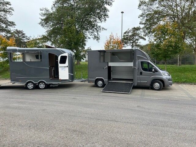Citroën Pferdetransporter Gespann mit B/E Führerschein Viehtransporter Tiertransporter Selbstfahrer, Dickenherr Citroen Jumper Dickenherr, Gerhard Strobel (Dickenherr Trucks und Trailers), Pferdeanhänger, Baden-Württemberg - Unterschneidheim, Abbildung 6