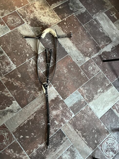 CLARIDGE HOUSE Vorderzeug mit Lammfell, CLARIDGE HOUSE, Lamprecht Simone, Training Aids, Thiersee