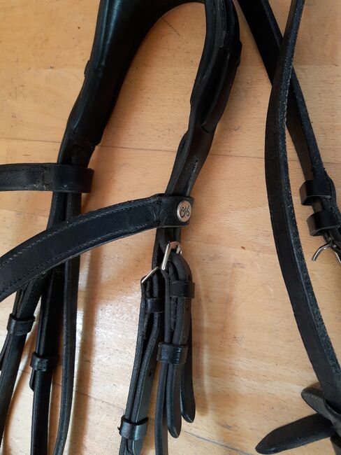 Claridge House Zaum Lund, Claridge House Lund , Barbara Gabriel , Bridles & Headstalls, Eslohe, Image 6