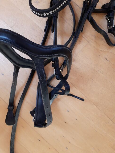 Claridge House Zaum Lund, Claridge House Lund , Barbara Gabriel , Bridles & Headstalls, Eslohe, Image 3