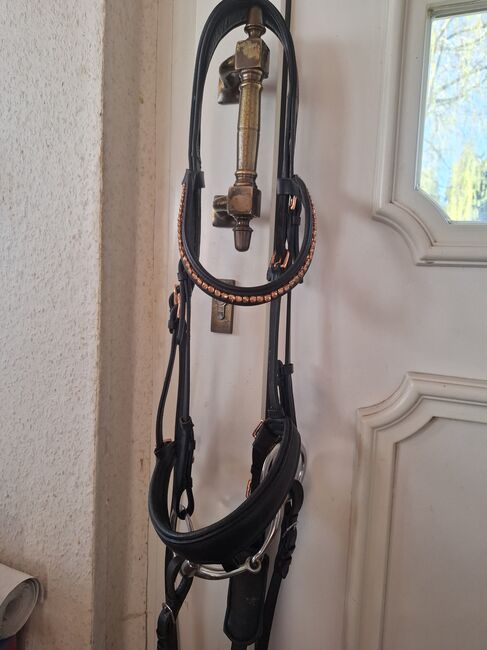 Claridge House Zaum Rose Größe Full, Claridge House , Isabel, Bridles & Headstalls, Warin