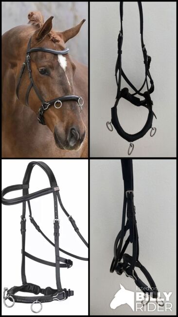 Kappzaum Claridge House VB/WB, Claridge House, Hafiii , Nosebands, Oberhausen, Image 5