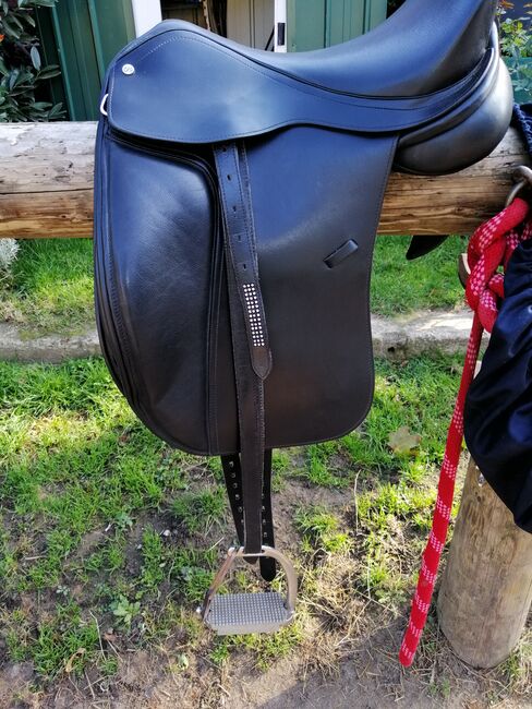 Claridge house Dressur, Claridge house  Dressur , Sommer, Dressage Saddle, Berlin