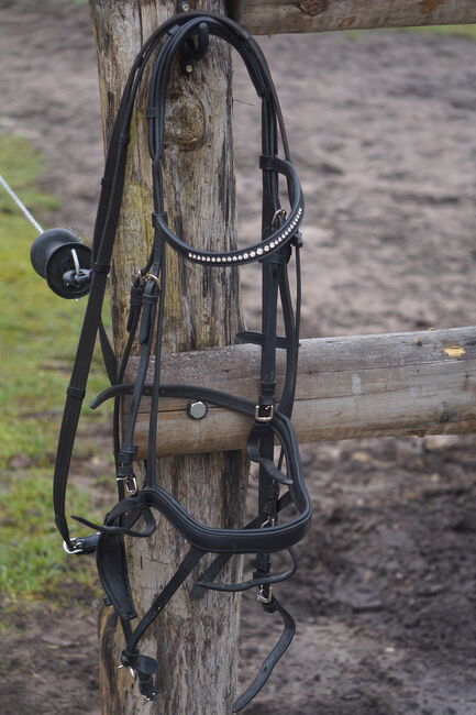 CLARIDGE HOUSE Zaum Lund, CLARIDGE HOUSE  Zaum Lund , Pat, Bridles & Headstalls, Neustrelitz