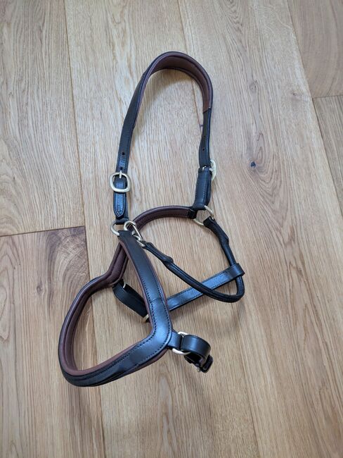 Claridgehouse Lederhalfter Cob, Claridgehouse , ponymausi, Halters, Naumburg