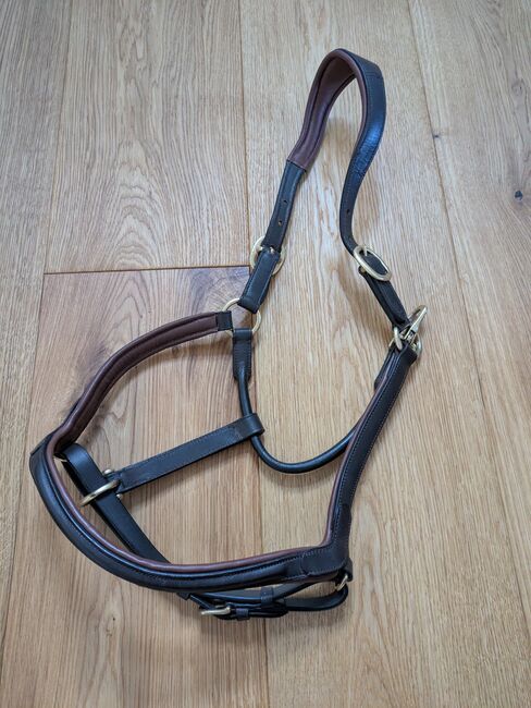 Claridgehouse Lederhalfter Cob, Claridgehouse , ponymausi, Halfter, Naumburg, Abbildung 3