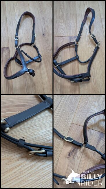 Claridgehouse Lederhalfter Cob, Claridgehouse , ponymausi, Halfter, Naumburg, Abbildung 7
