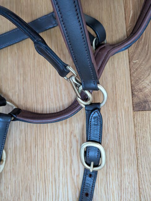 Claridgehouse Lederhalfter Cob, Claridgehouse , ponymausi, Halters, Naumburg, Image 4
