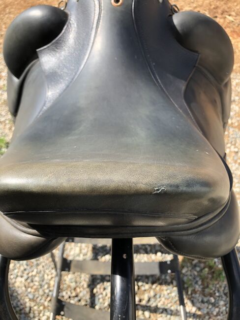 Classic Dressage Saddle, Classic, Donna, Dla koni, Columbus, Image 5