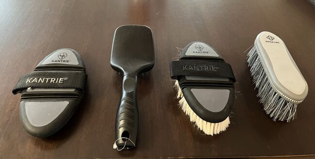 Putzbürsten, Verschieden, Laura , Grooming Brushes & Equipment, Harsefeld