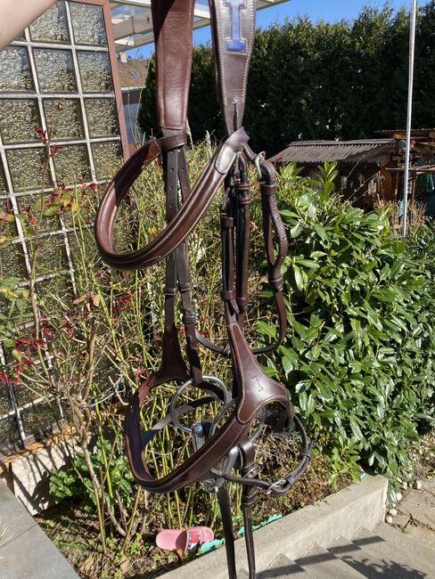 Klinik Trense, Ikonic , Lina , Bridles & Headstalls, Mannheim