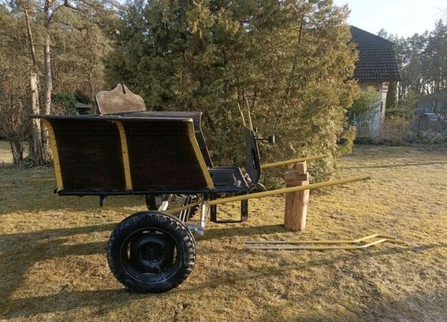 Kutsche Gig Einspänner Einachser 4 Sitzer, Sophie, Carriages, Birkenwerder