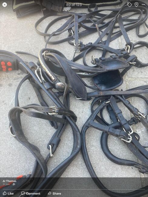 Cob driving harness, No make on there  Non, Al, Horse Harness, Pembrokeshire , Image 2