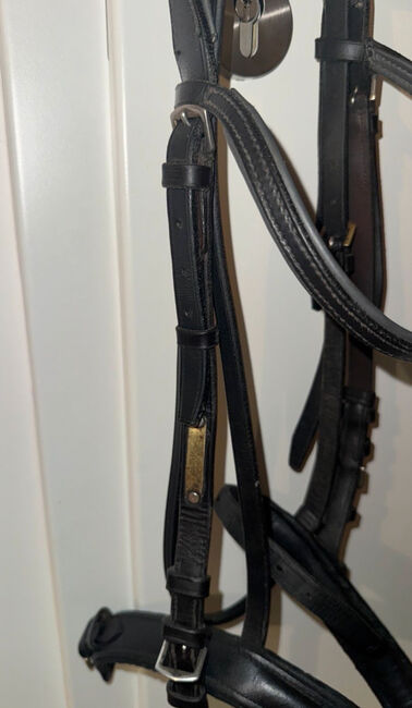 Cob Zaumzeug Leder schwarz mit Zügel Trensenzaum Trense Pferd, M.M., Bridles & Headstalls, Burghausen, Image 4