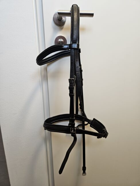 Zaumzeug COB, Nina, Nosebands, Großweikersdorf