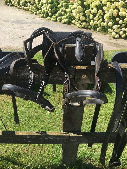 Zweispänner-Geschirr COB, Privat, Horse Harness, Dinklage , Image 3