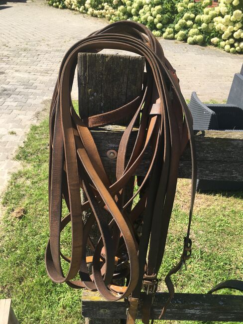 Zweispänner-Geschirr COB, Privat, Horse Harness, Dinklage , Image 5