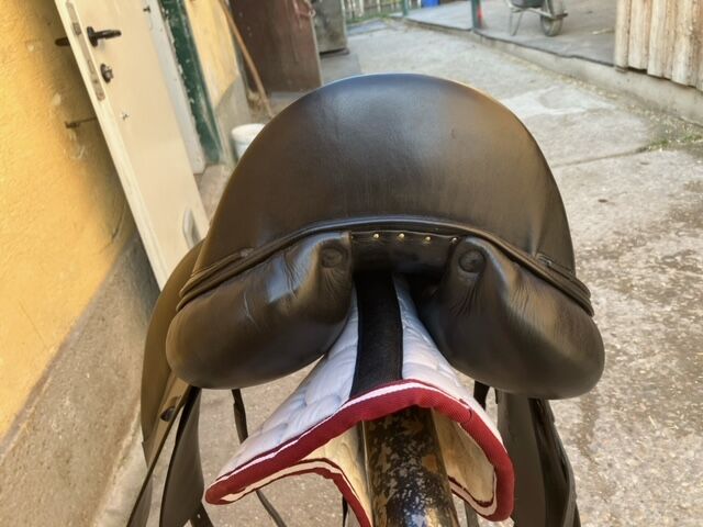 Cobra Dressursattel, Cobra Deutschland, Gabi, Dressage Saddle, Wien, Meidling, Image 7