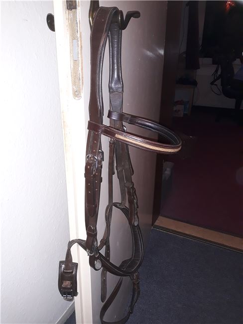Englisch Kombiniertes Reithalfter "JADE" von Cobra, Cobra JADE, Nadine , Bridles & Headstalls, Dresden, Image 3
