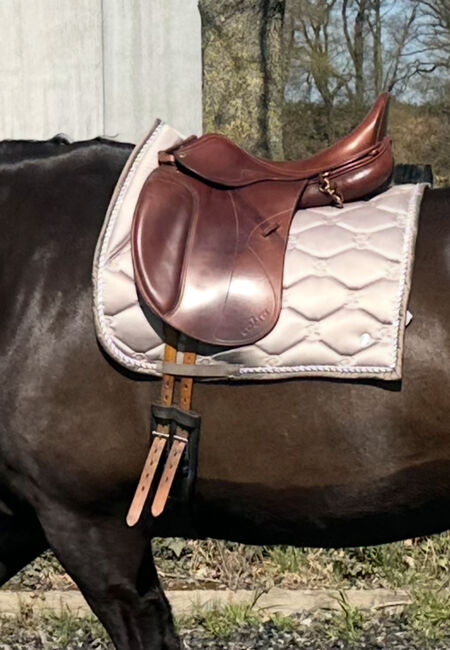 Cobra Pinerolo Dressursattel 17,5, Cobra , Kim-Alina, Dressage Saddle, Moers, Image 5