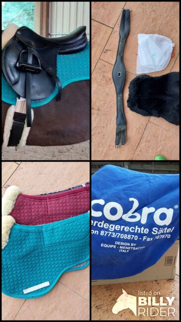 Cobra Springsattel, Cobra , Sabine, Springsattel, Stuttgart, Abbildung 8